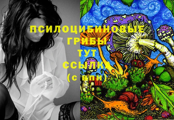 ешки Абаза