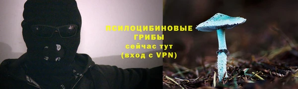 ешки Абаза