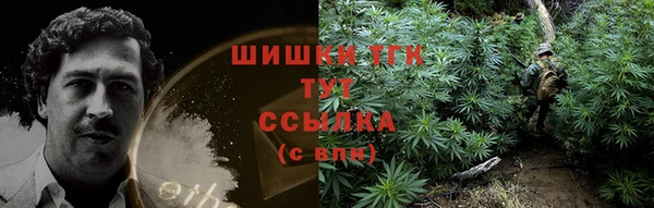 тгк Абдулино