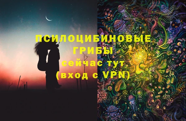 МДПВ Абинск