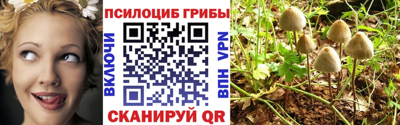 Галлюциногенные грибы прущие грибы  Иноземцево 